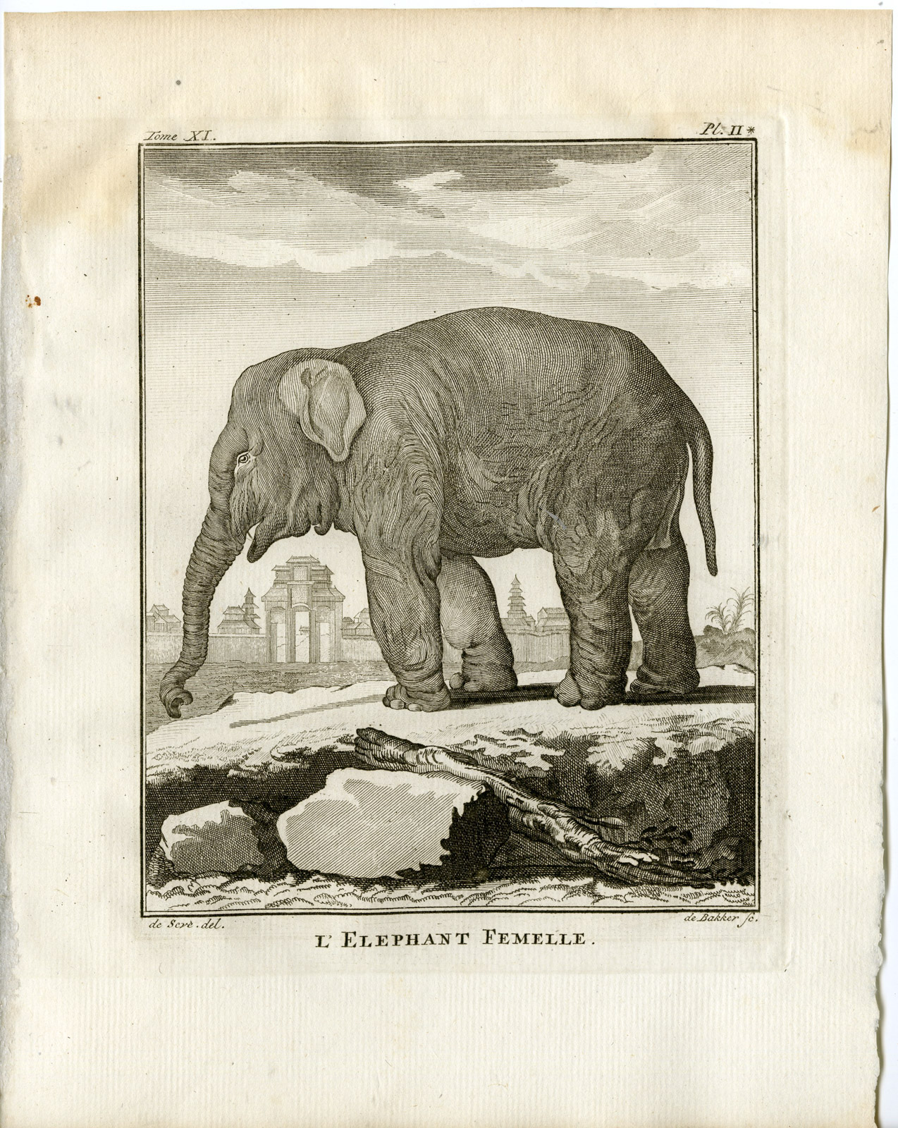 , 8 Antique Prints-ASIAN ELEPHANT-ELEPHAS MAXIMUS-P 1-6-Fritsch-Buffon-1779, Pictura Antique Prints