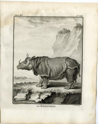 3 Antique Prints-RHINOCEROS UNICORNIS-HORN-INDIAN-PL. 7-8-Fritsch-Buffon-1779