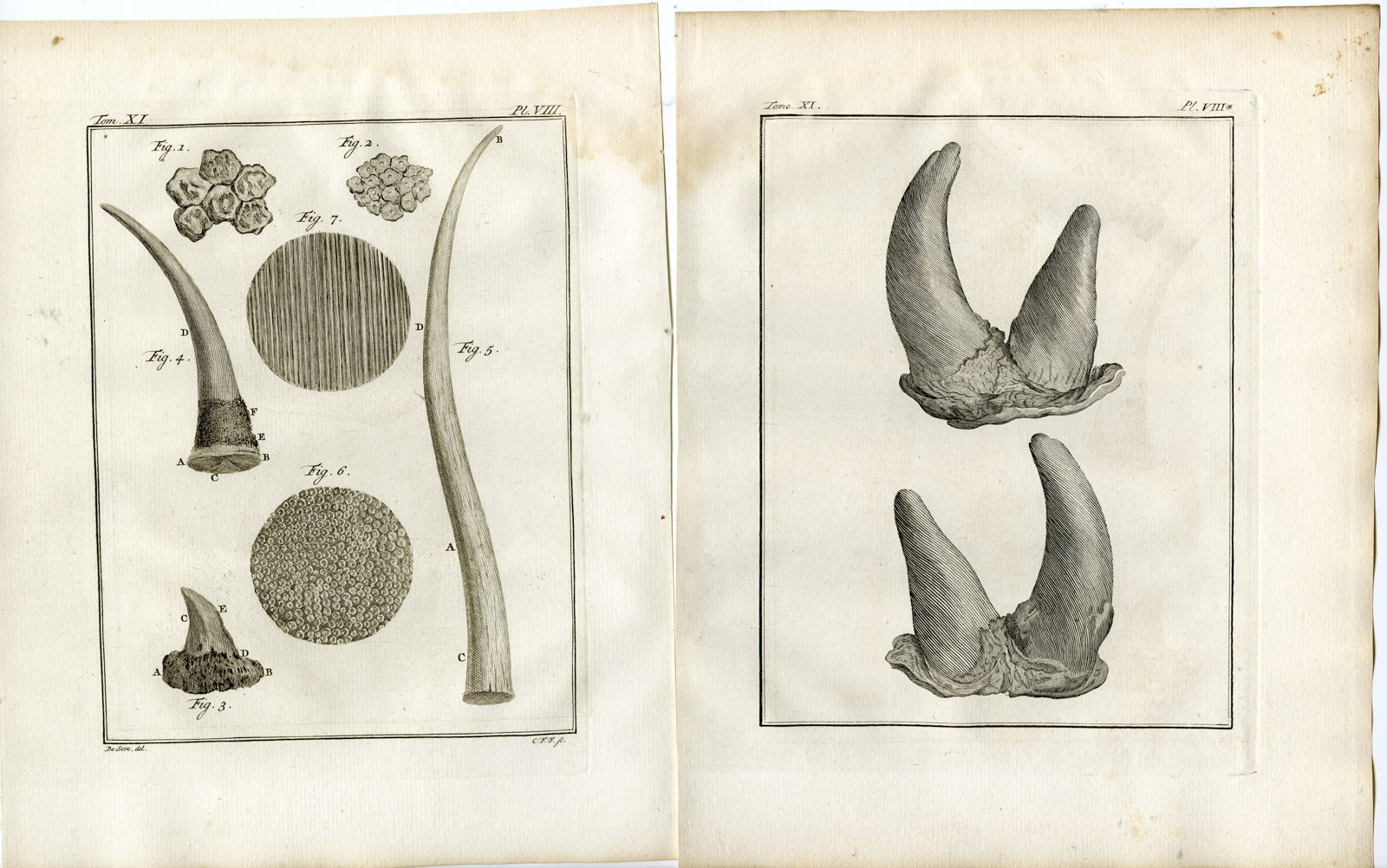 Pco 19413 416x261 3 Antique Prints-RHINOCEROS UNICORNIS-HORN-INDIAN-PL. 7-8-Fritsch-Buffon-1779 - Image 2