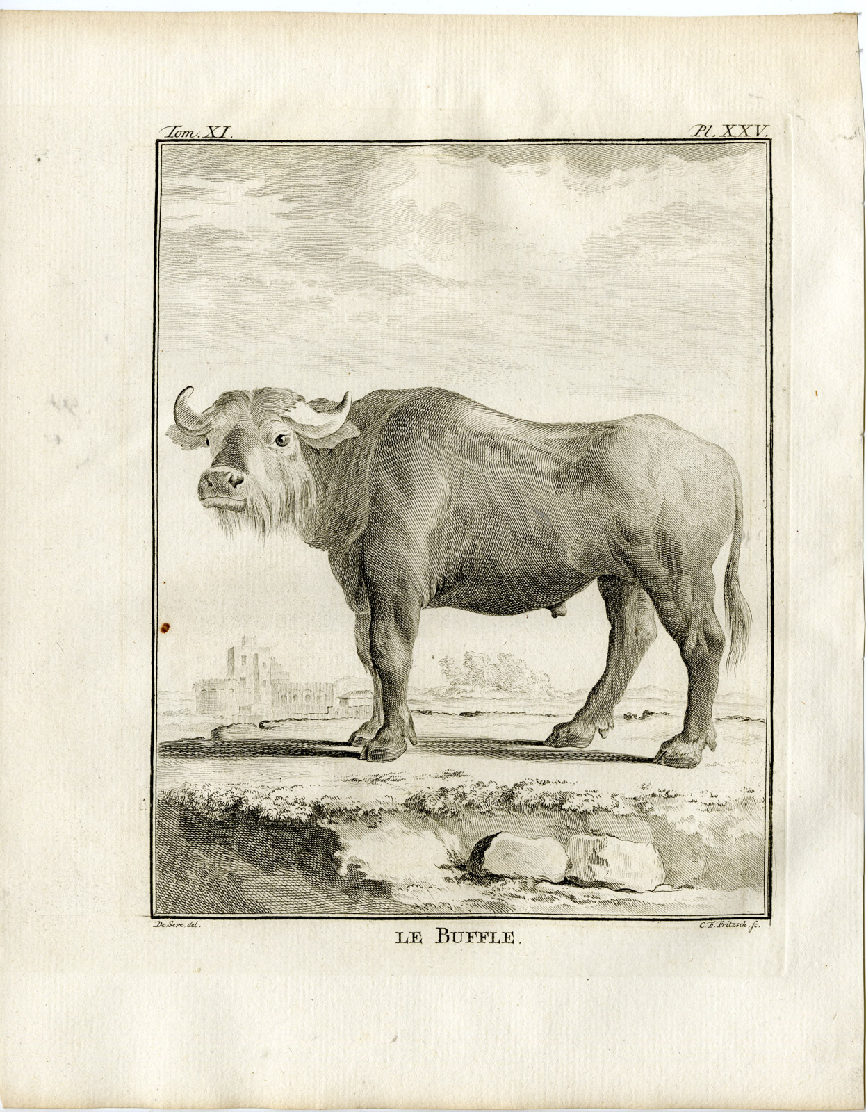, 4 Antique Prints-WATER BUFFALO-BUBALIS-ANATOMY-PL. 25-28-Fritsch-Buffon-1779, Pictura Antique Prints