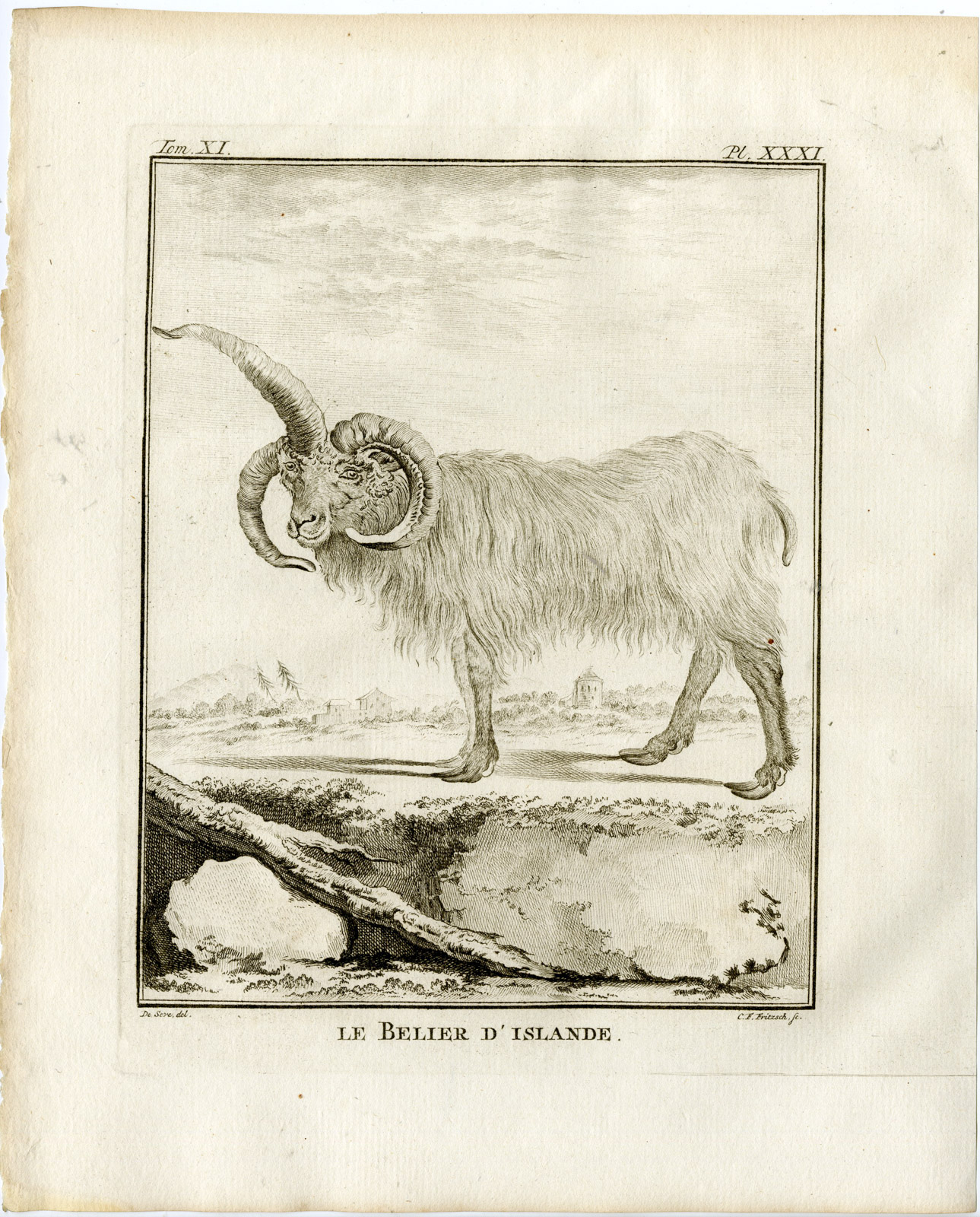 , 2 Antique Prints-ICELANDIC SHEEP-PL. 31-32-Fritsch-Buffon-1779, Pictura Antique Prints