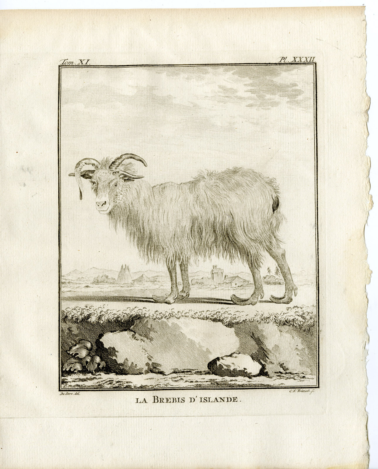 , 2 Antique Prints-ICELANDIC SHEEP-PL. 31-32-Fritsch-Buffon-1779, Pictura Antique Prints
