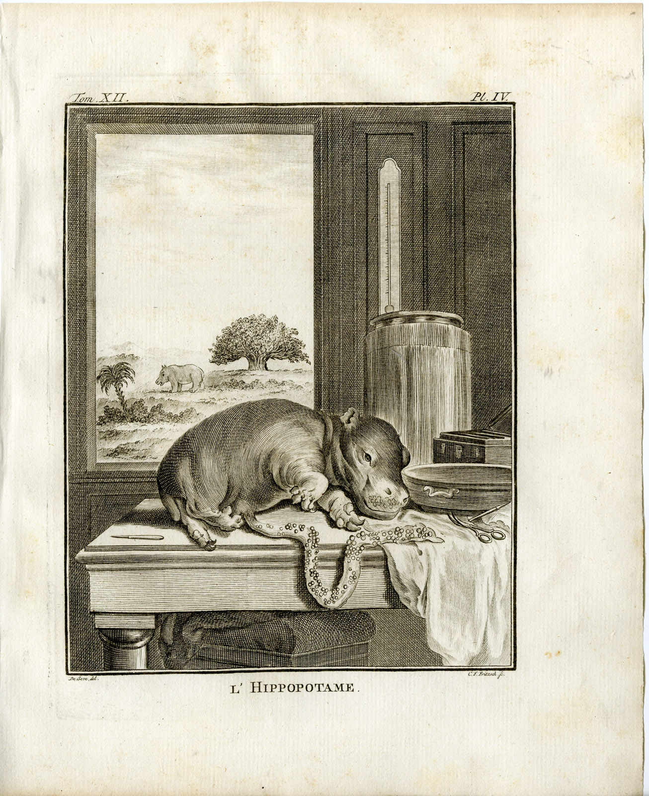 , 9 Antique Prints-HIPPOPOTAMUS AMPHIBIUS-ANATOMY-P.3-7-Fritsch-Buffon-1781, Pictura Antique Prints