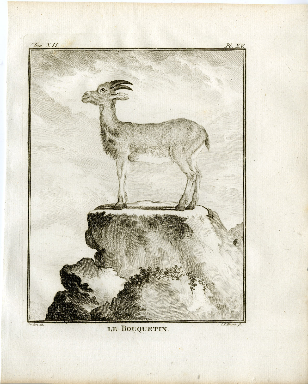 , Antique Print-ALPINE IBEX-STEINBOCK-BOUQUETIN-CAPRA-P.15-Fritsch-Buffon-1781, Pictura Antique Prints