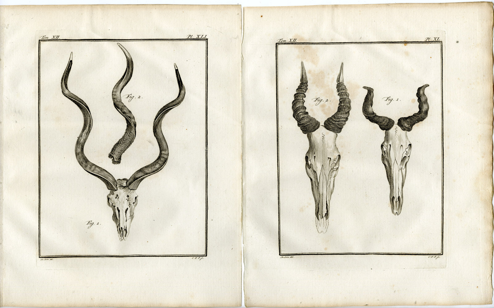 , 6 Antique Prints-BUSHBUCK-TRAGELAPHUS SCRIPTUS-P.36-41-Fritsch-Buffon-1781, Pictura Antique Prints
