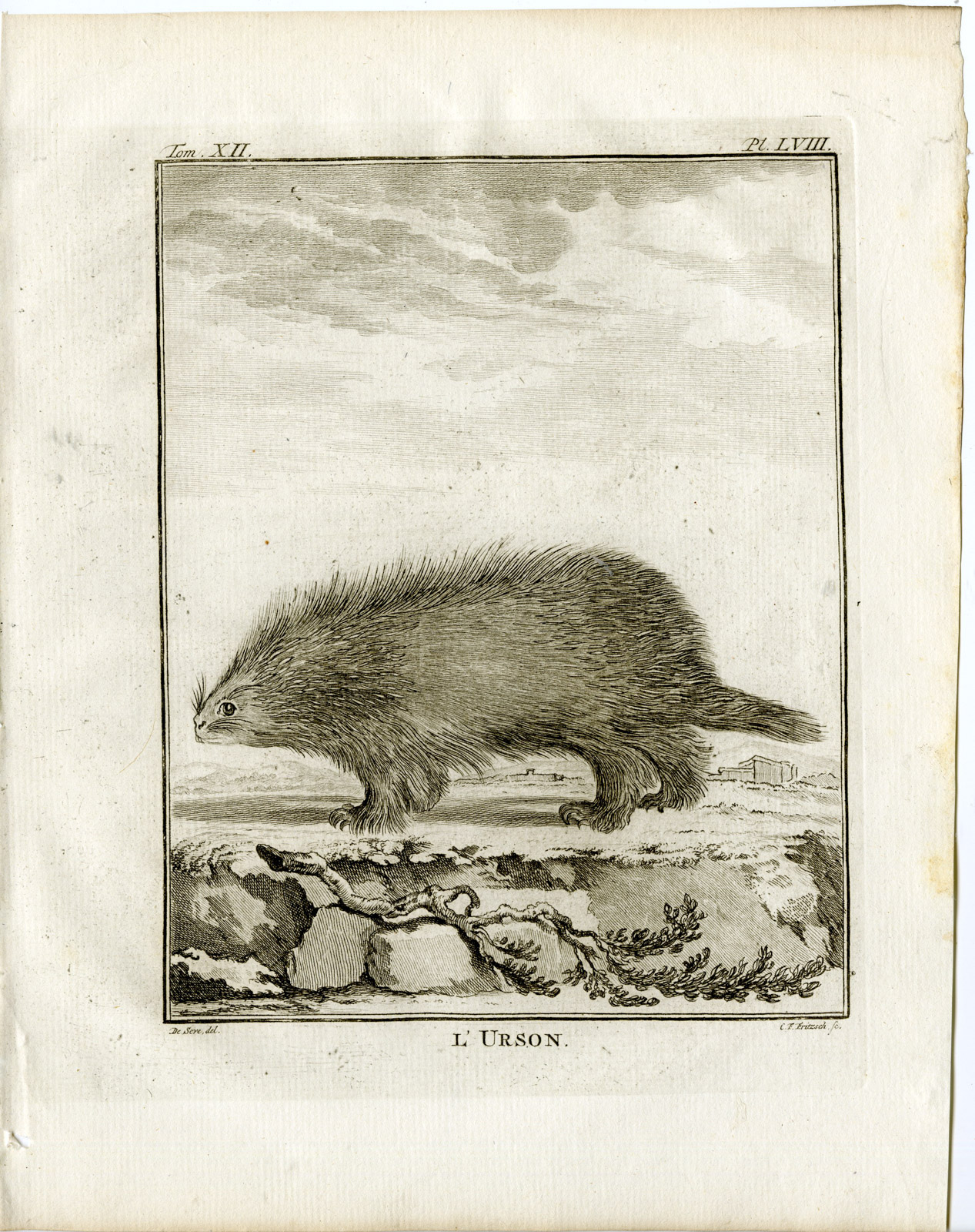 , Antique Print-NORTH AMERICAN PORCUPINE-CANADIAN-P.58-Fritsch-Buffon-1781, Pictura Antique Prints