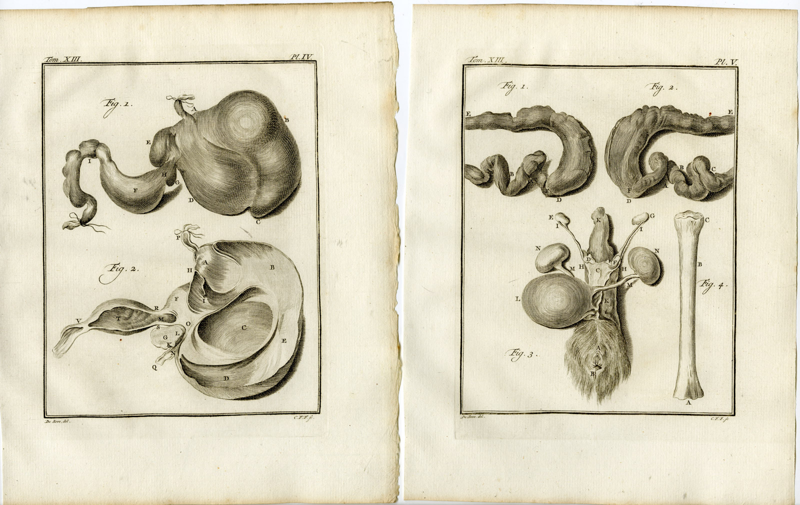 , 4 Antique Prints-LINNAEUS`S TWO TOED SLOTH-UNAU-PL. 2-5-Fritsch-Buffon-1782, Pictura Antique Prints