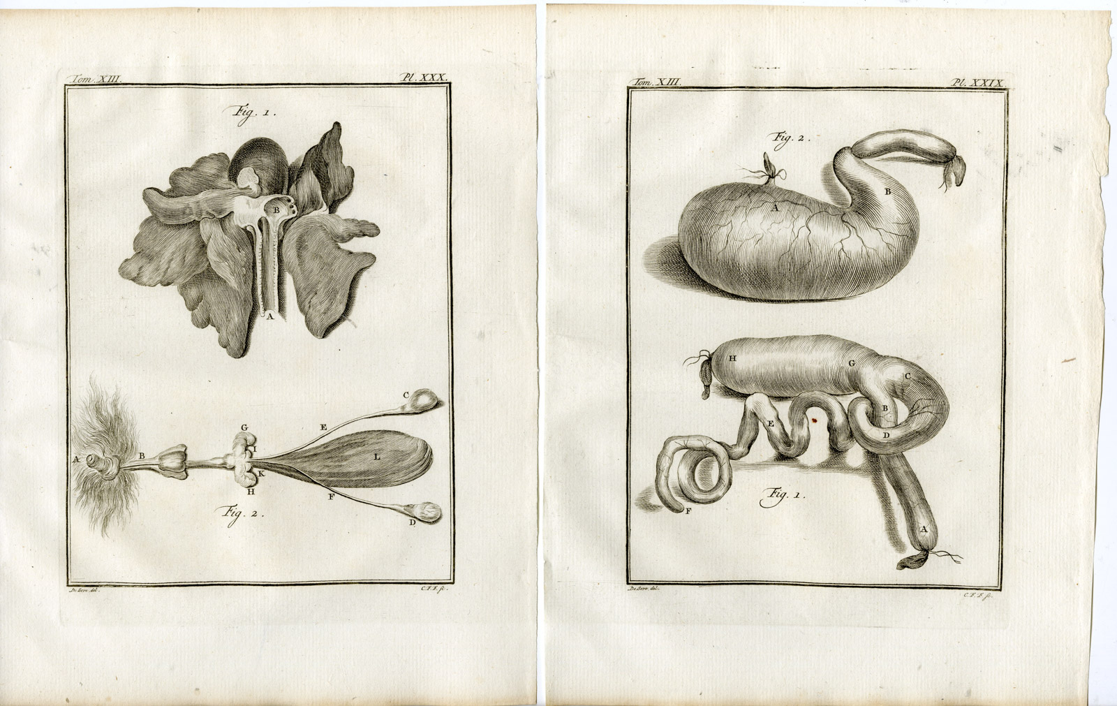 , 3 Antique Prints-BLACK AND WHITE RUFFED LEMUR-VARI-PL. 28-30-Fritsch-Buffon-1782, Pictura Antique Prints