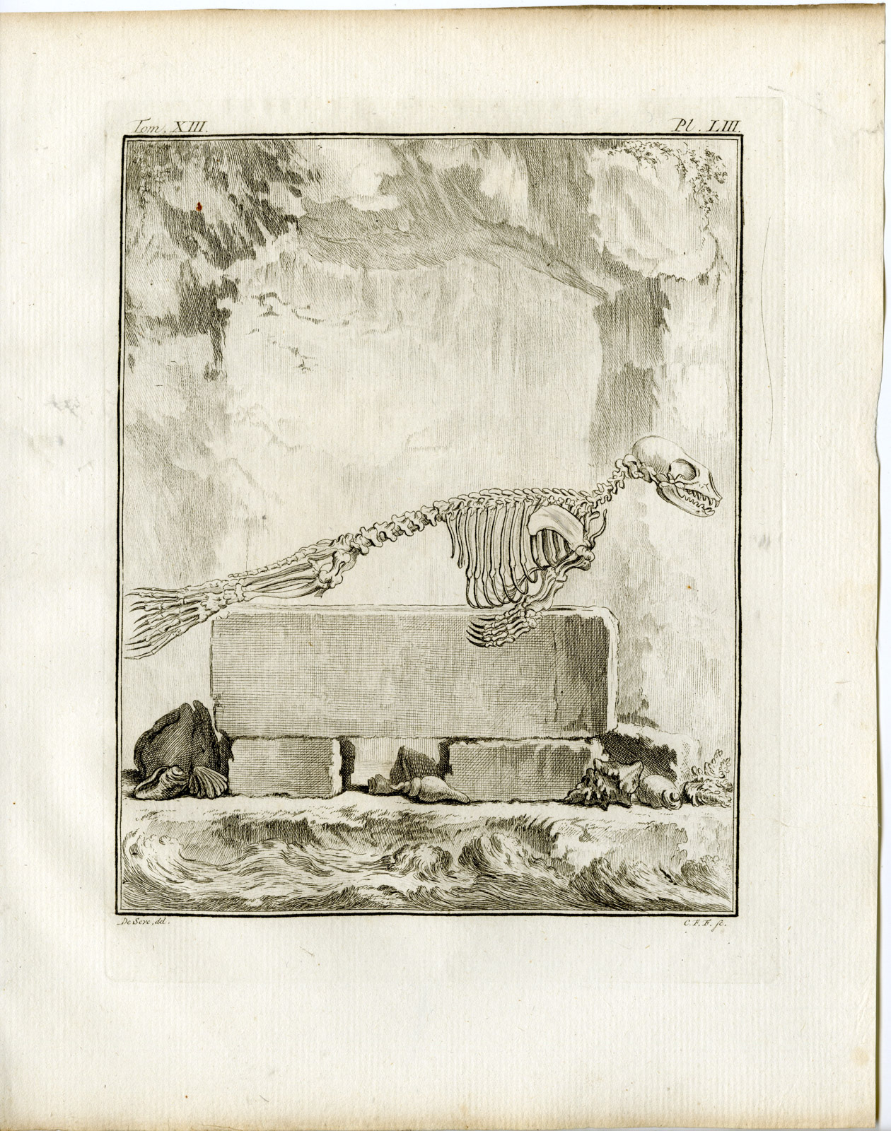 Pco 19557 416x528 9 Antique Prints-PHOCA VITULINA-HARBOUR SEAL-COMMON-PL.46-54-Fritsch-Buffon-1782 - Image 5