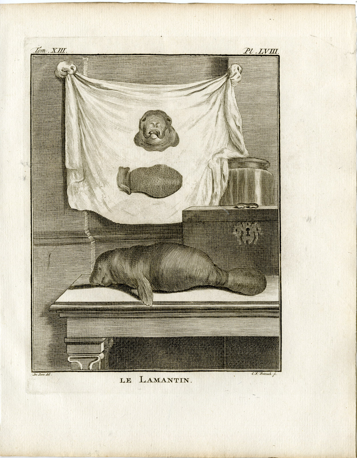 , 3 Antique Prints-MANATEE-SEA COW-ANATOMY-PL. 58-60-Fritsch-Buffon-1782, Pictura Antique Prints