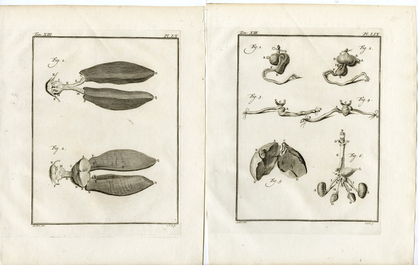 , 3 Antique Prints-MANATEE-SEA COW-ANATOMY-PL. 58-60-Fritsch-Buffon-1782, Pictura Antique Prints