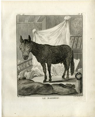 Antique Print-HINNY-BARDEAU-DONKEY-HORSE-PL. 2-de Bakker-Buffon-1784