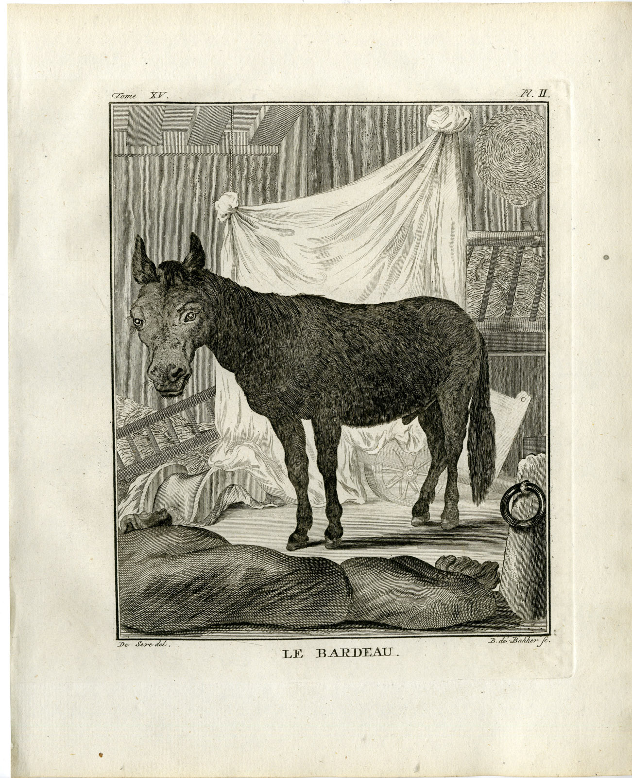 , Antique Print-HINNY-BARDEAU-DONKEY-HORSE-PL. 2-de Bakker-Buffon-1784, Pictura Antique Prints