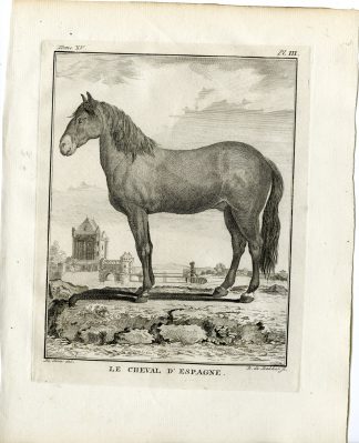 Antique Print-SPANISH HORSE BREED-PL. 3-de Bakker-Buffon-1784