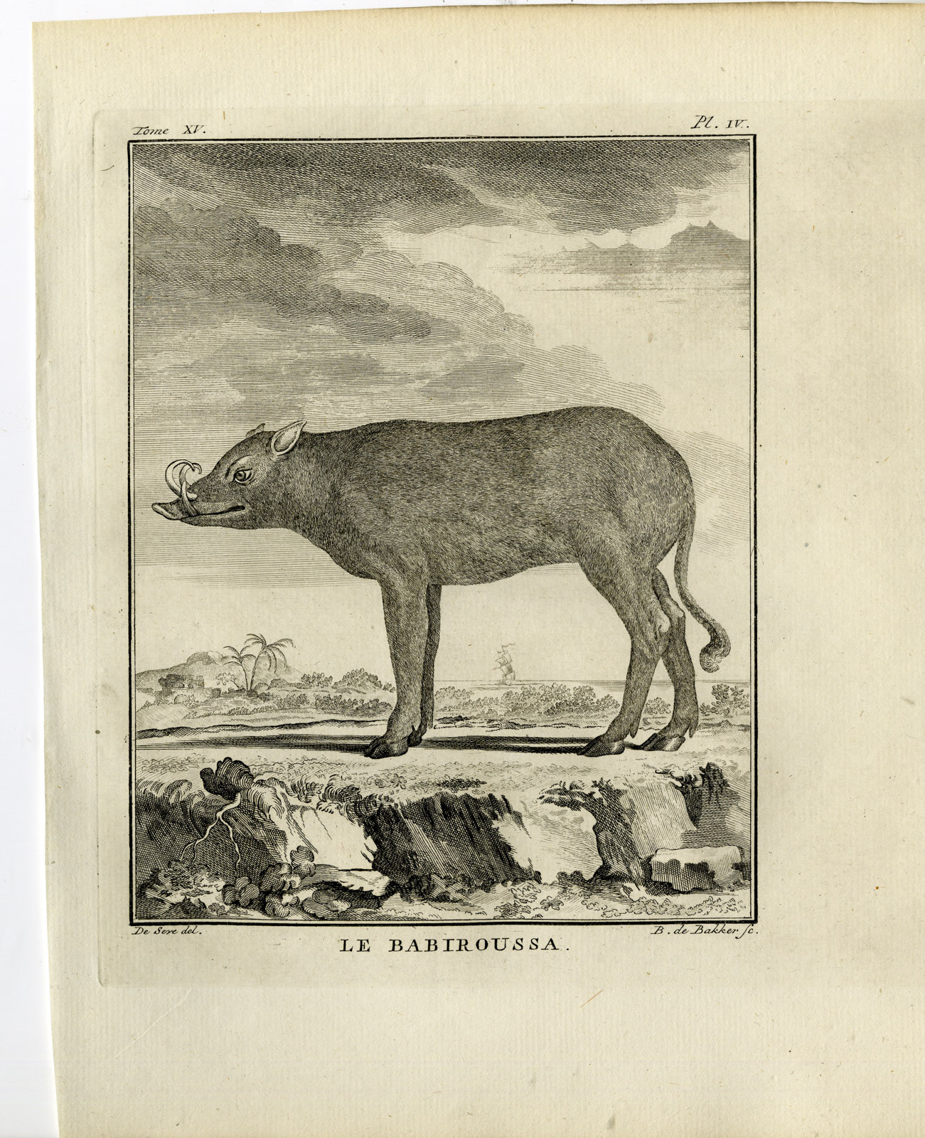 , 2 Antique Prints-BABIRUSA-DEER PIG-BABIROUSSA-PL. 4-de Bakker-Buffon-1784, Pictura Antique Prints
