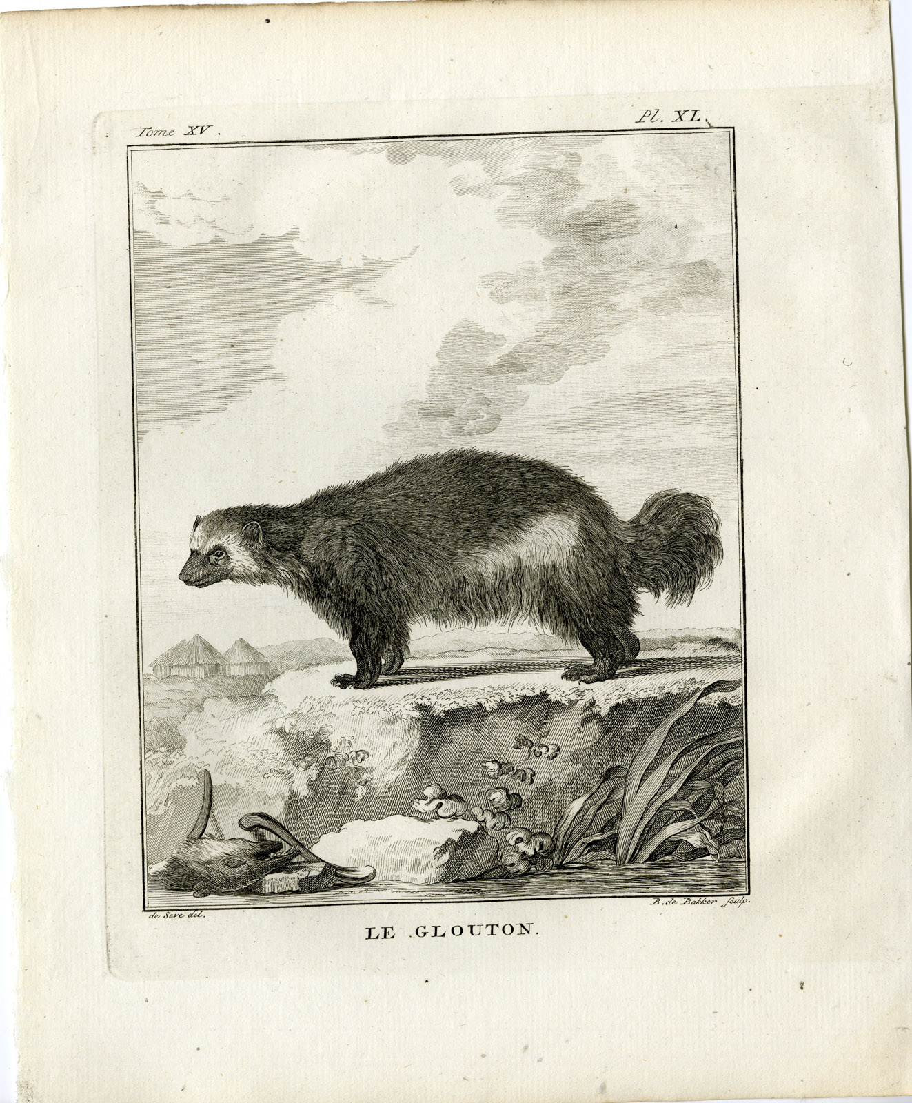 , 2 Antique Prints-WOLVERINE-GLUTTON-GULO-CARCAJOU-PL. 40-de Bakker-Buffon-1784, Pictura Antique Prints
