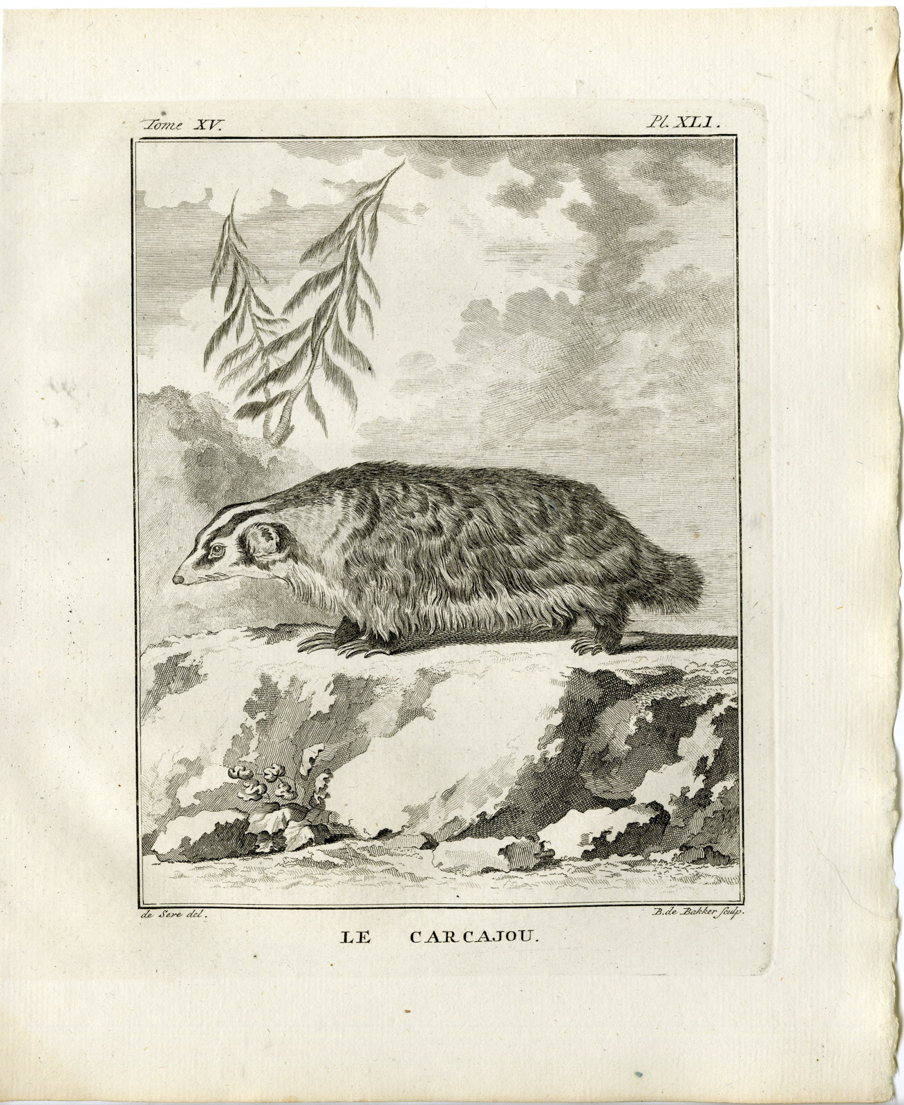 , 2 Antique Prints-WOLVERINE-GLUTTON-GULO-CARCAJOU-PL. 40-de Bakker-Buffon-1784, Pictura Antique Prints