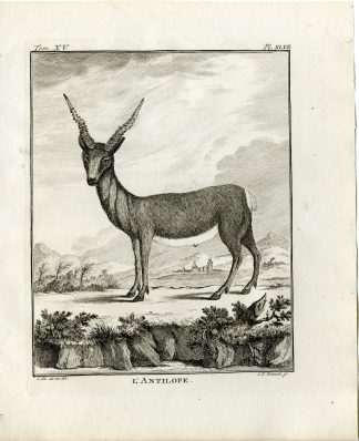 Antique Print-ANTILOPE-ANTELOPE-PL. 47-Fritsch-Buffon-1784