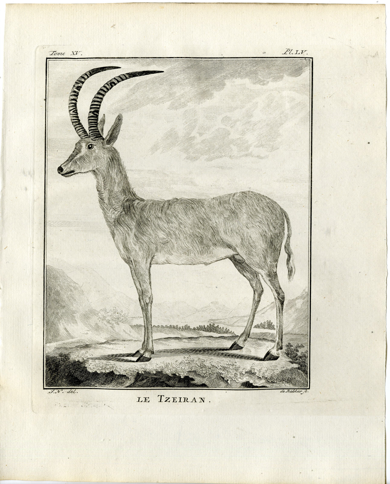, Antique Print-BLUEBOCK-HIPPOTRAGUS LEUCOPHAEUS-PL. 55-de Bakker-Buffon-1784, Pictura Antique Prints
