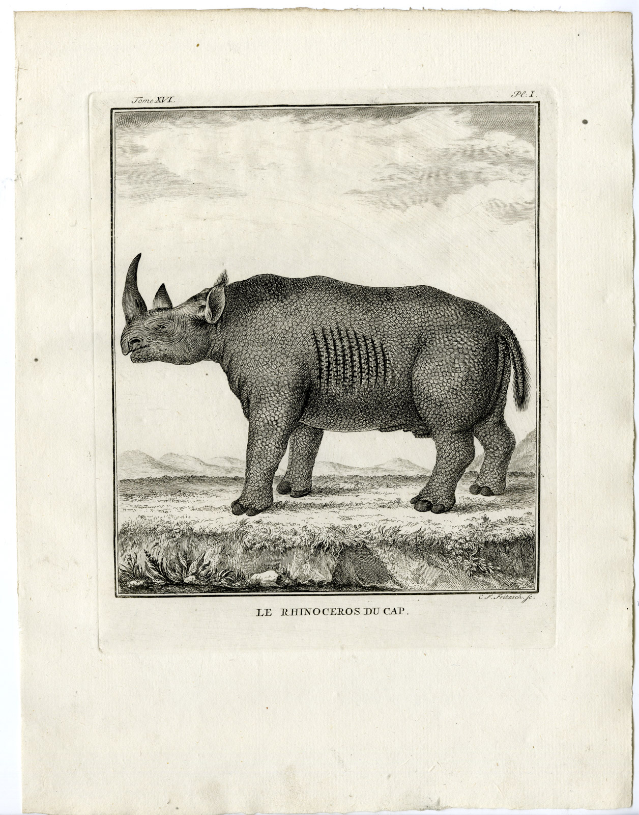 Pco 19711 416x530 Antique Print-AFRICAN RHINOCEROS-DU CAP-PL.1-Fritsch-Buffon-1785