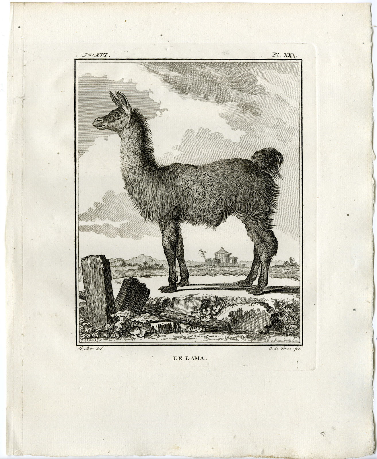 , Antique Print-LLAMA-LAMA GLAMA-PL. 20-de Vries-Buffon-1785, Pictura Antique Prints