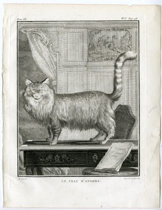 Antique Print-DOMESTIC CAT-TURKISH ANGORA-PL. 5-Buffon-le Grand-1756
