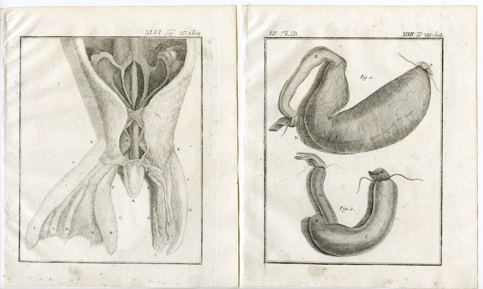 , 9 Antique Prints-HARBOUR SEAL-PHOCA VITULINA-ANATOMY-PL. 45-53-Buffon-1769, Pictura Antique Prints