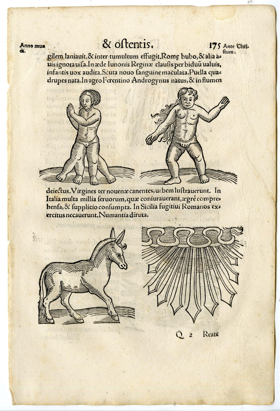 , Rare Antique Print-DEFORMITY-DISASTER-EARTHQUAKE-Lycosthenes-1557, Pictura Antique Prints