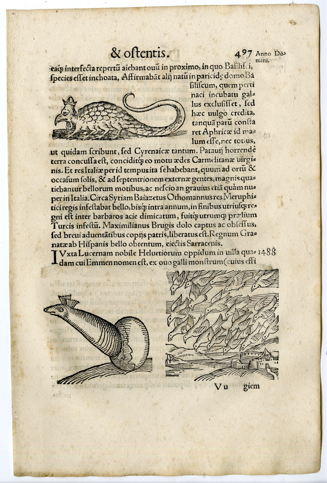 , Rare Antique Print-CREATURE-EGG-BIRDS-HAIRY HUMANOIDS-NORWAY-Lycosthenes-1557, Pictura Antique Prints