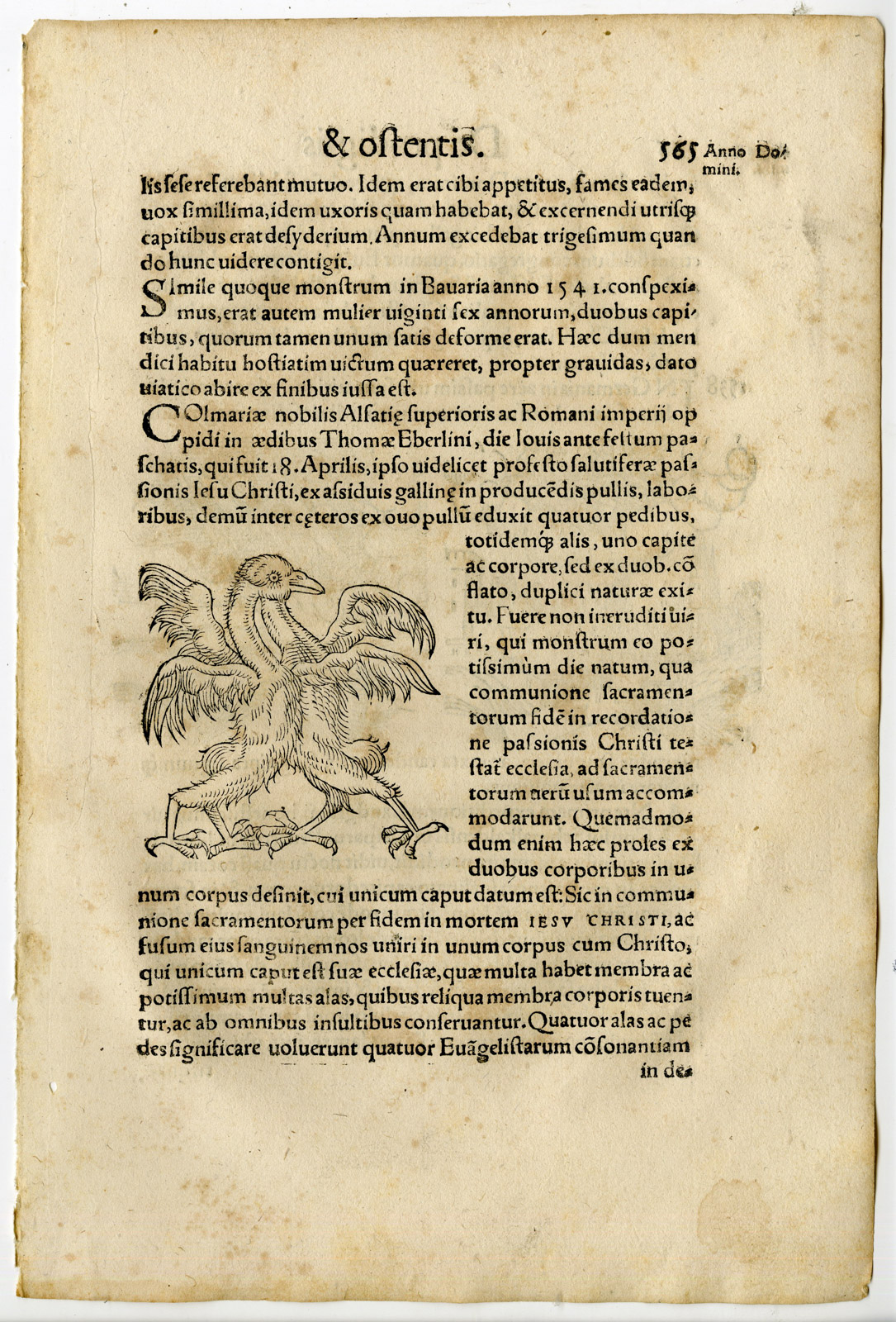 , Rare Antique Print-CHICKEN WITH TWO BODIES-ARMY IN SKY-Lycosthenes-1557, Pictura Antique Prints