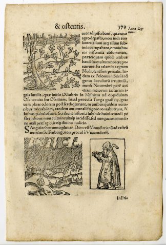 Rare Antique Print-LOCUST PLAGUE-BLOOD RAIN-BIRTH DEFORMITY-Lycosthenes-1557