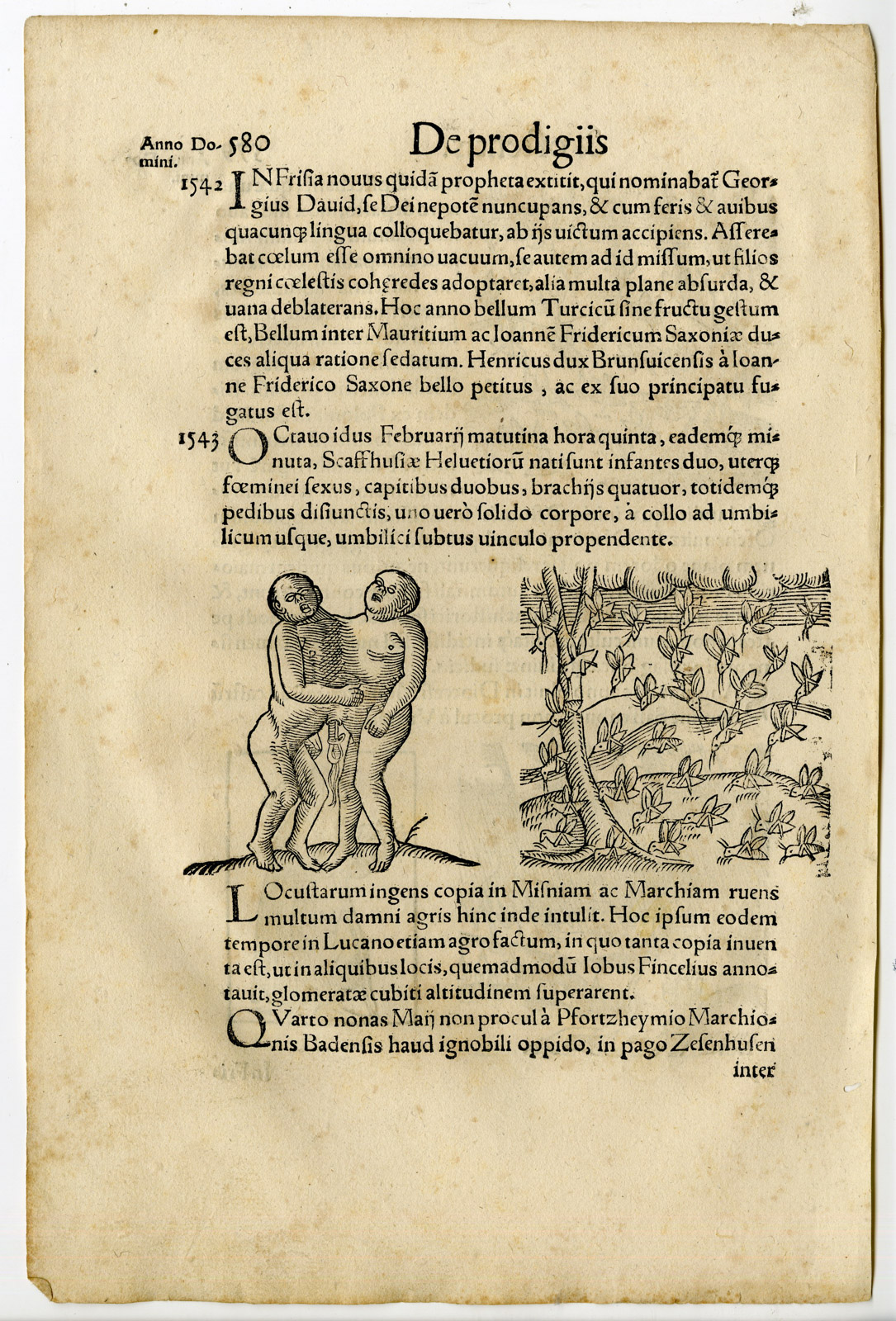 Pco 21316 1 416x613 Rare Antique Print-LOCUST PLAGUE-BLOOD RAIN-BIRTH DEFORMITY-Lycosthenes-1557 - Image 2