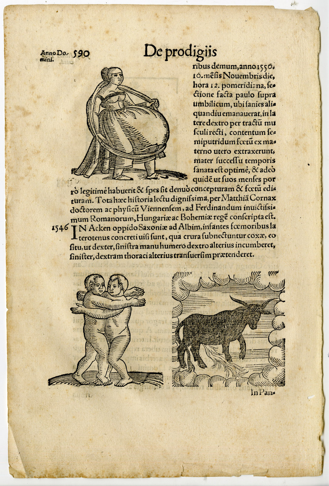 , Rare Antique Print-THERMAE-HEAVY RAINFALL-BIRTH DEFORMITY-Lycosthenes-1557, Pictura Antique Prints