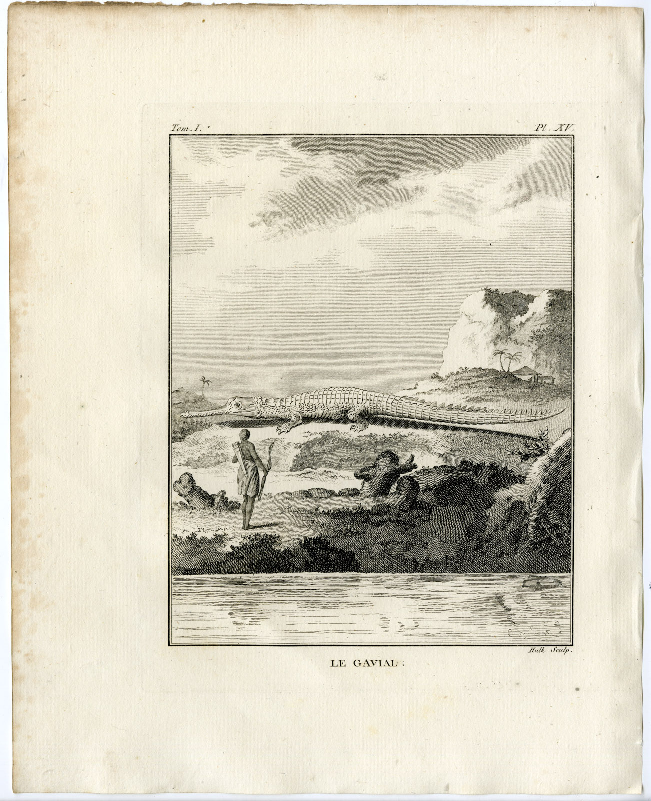 , Antique Print-GHARIAL-GAVIAL-GAVIALIS GANGETICUS-Hulk-Buffon-Lacepede-1799, Pictura Antique Prints