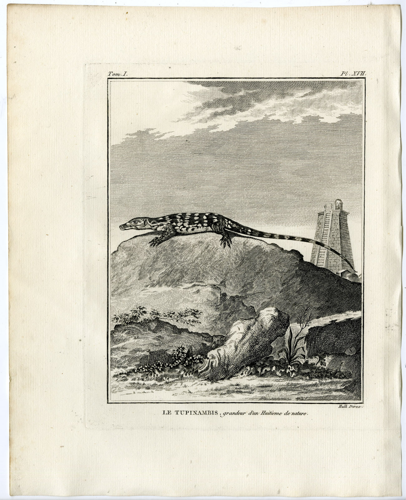 , Antique Print-TUPINAMBIS-TEGU-LIZARD-Hulk-Buffon-Lacepede-1799, Pictura Antique Prints