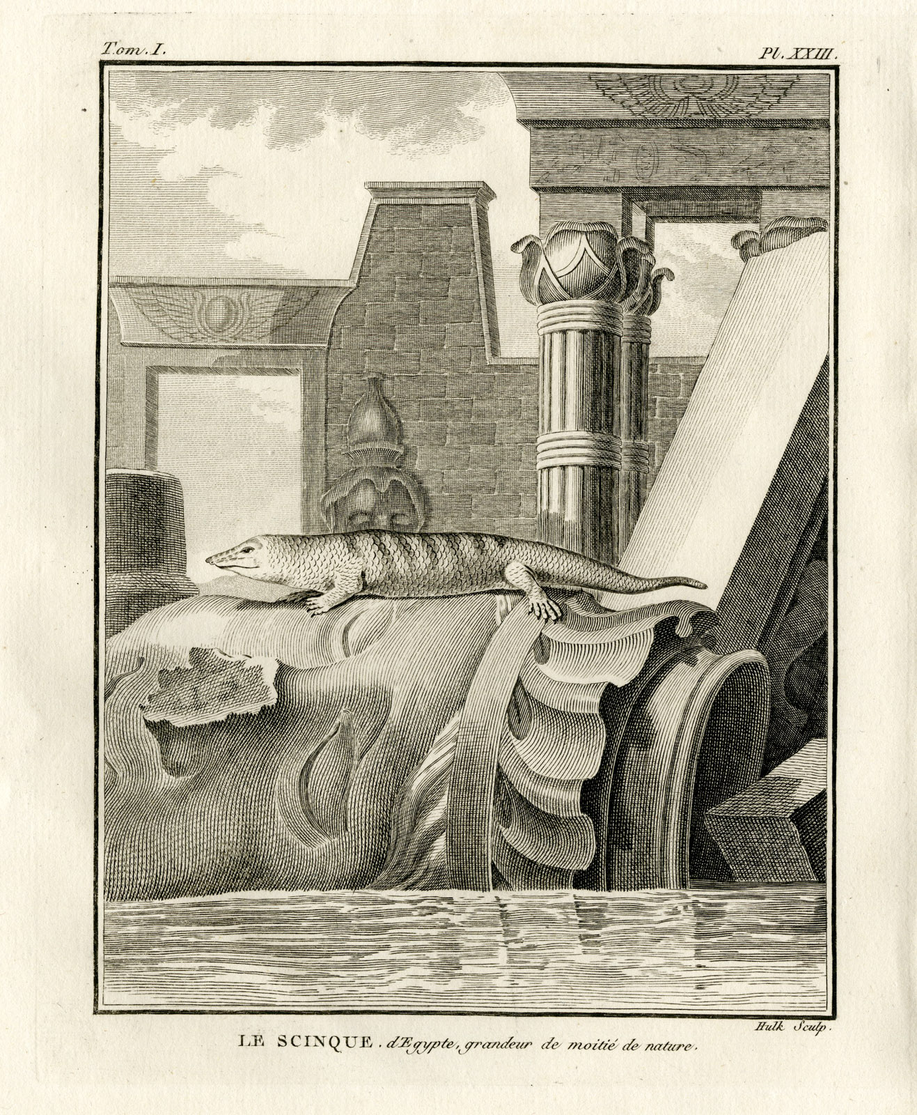, Antique Print-SKINK-LIZARD-SCINQUE-Hulk-Buffon-Lacepede-1799, Pictura Antique Prints