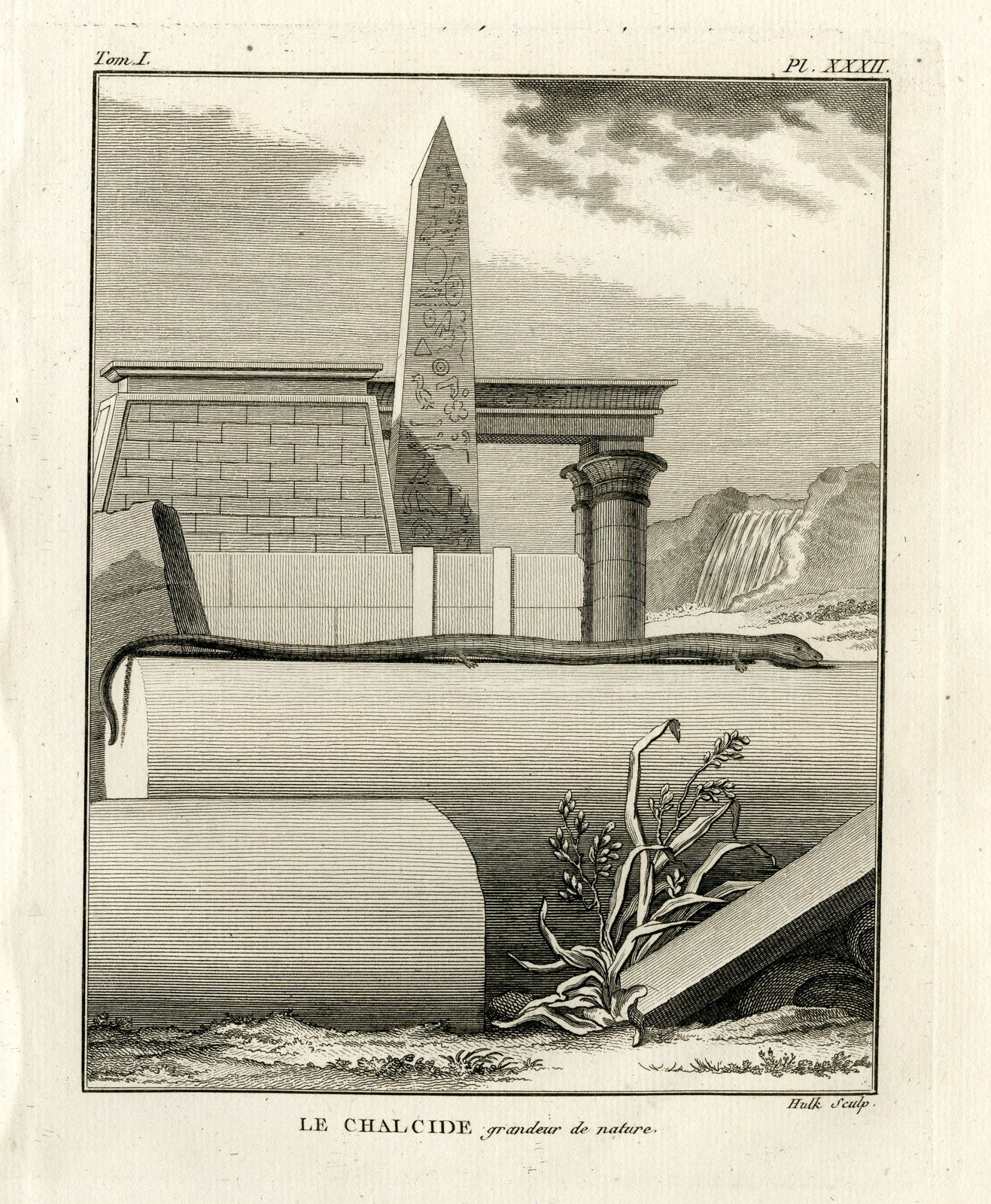 , Antique Print-ITALIAN THREE TOED SKINK-CHALCIDES-Hulk-Buffon-Lacepede-1799, Pictura Antique Prints