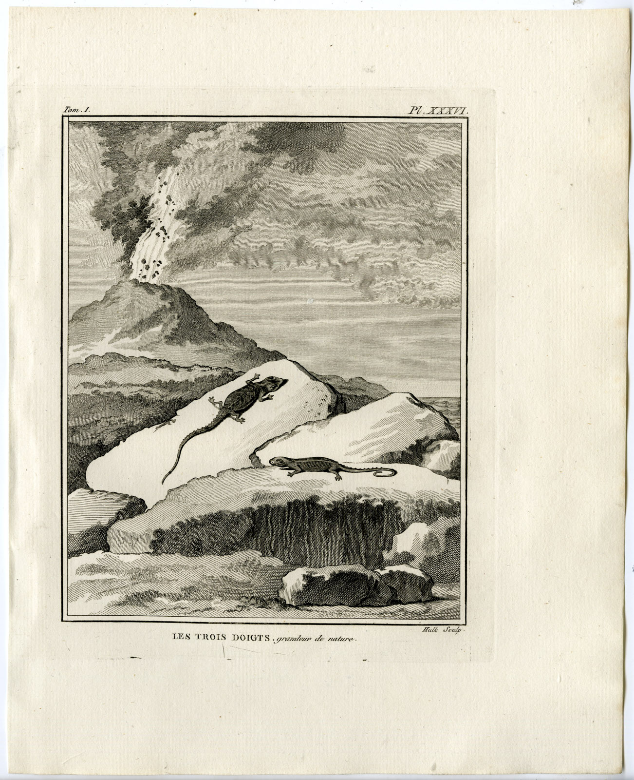 , Antique Print-THREE TOED SALAMANDER-Hulk-Buffon-Lacepede-1799, Pictura Antique Prints