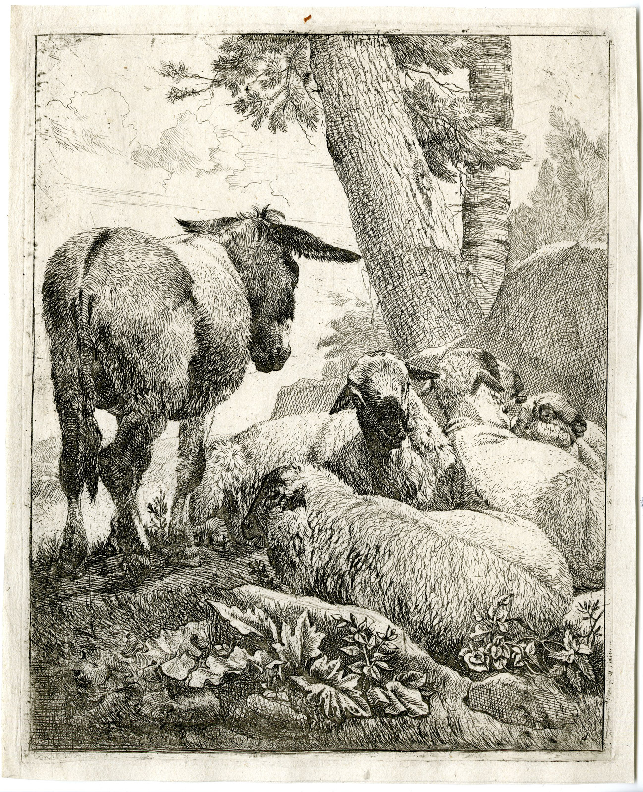 , 8 Antique Prints-Beest-Boekje-Johann Heinrich Roos-c.1668-1670, Pictura Antique Prints