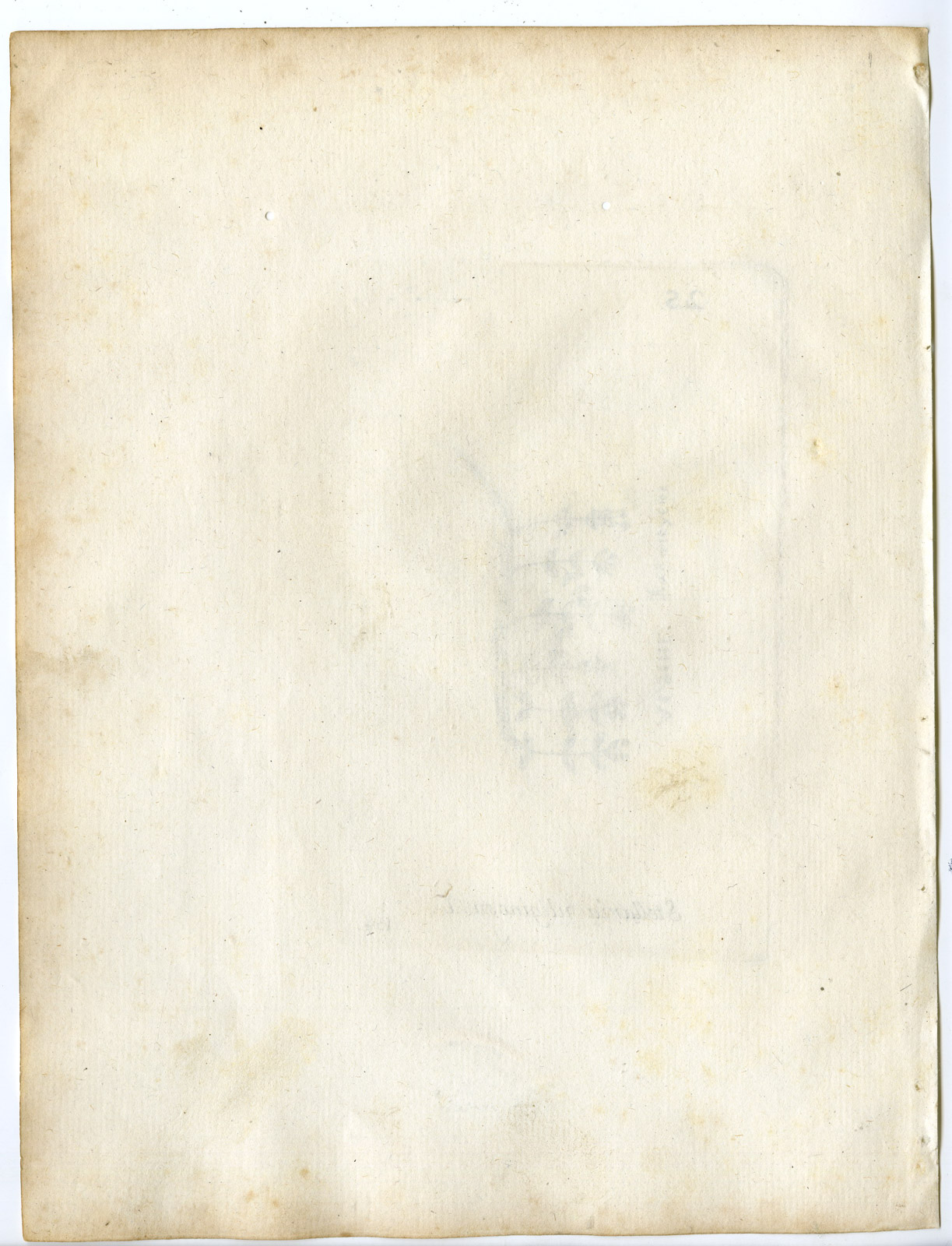 , Rare-Antique Print-STELLARIA ALSINE-BIG STITCHWORT-PL.154-Belleval-1796, Pictura Antique Prints