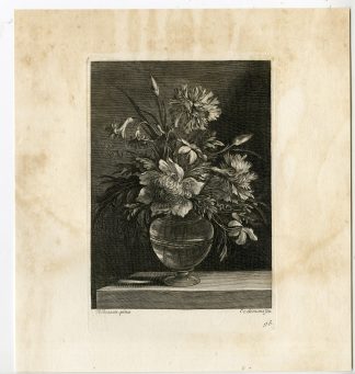 Antique Master Print-STILL LIFE-FLOWERS-VASE-Coelemans-Baudesson-1767