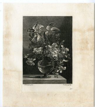 Antique Master Print-STILL LIFE-ANEMONE-JASMINE-FLOWERS-Coelemans-Baudesson-1767