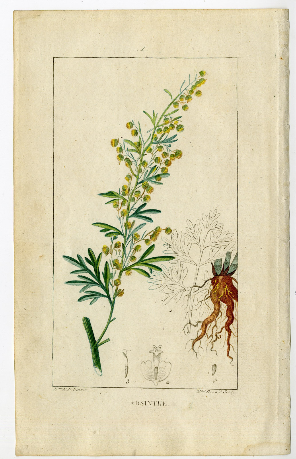 Pco 24098 416x645 Antique Print-ABSINTHE-GRAND WORMWOOD-ARTEMISIA-Panckoucke-Chaumeton-1814