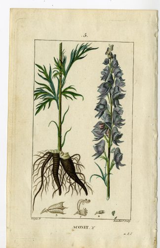 Antique Print-PL.5-MONKSHOOD-WOLFSBANE-ACONIT-ACONITUM-Turpin-Chaumeton-1814