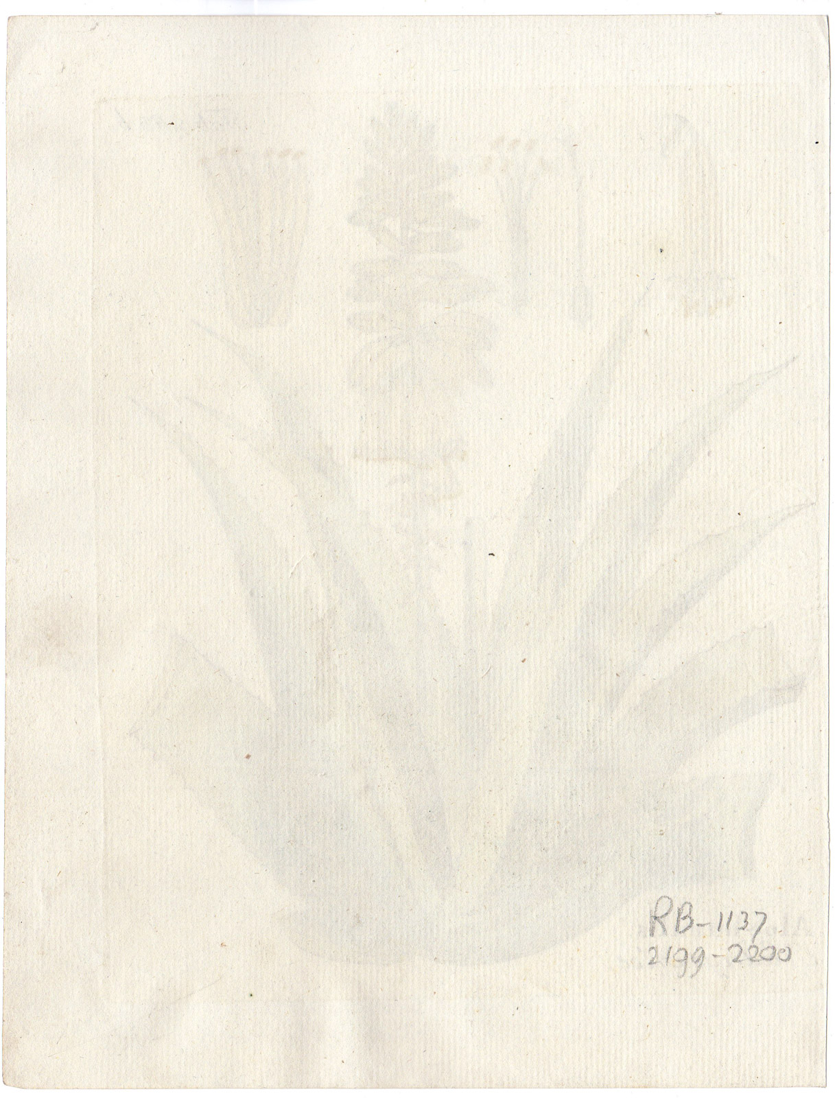 , Antique Print-PLANT-ALOE HUMILIS-LOW ALOE-FLOWERS-LEAFS-Vietz-1800, Pictura Antique Prints