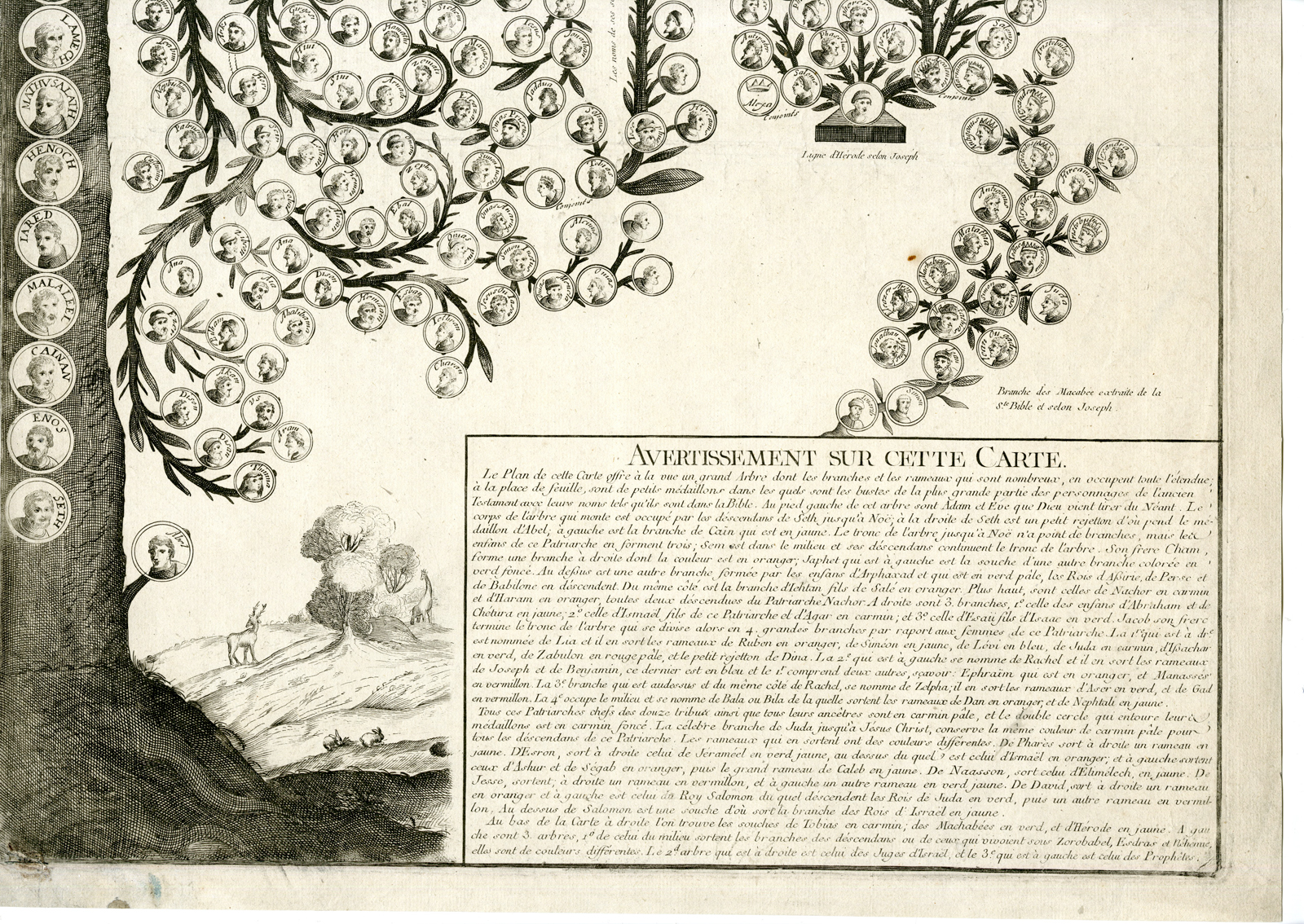 , Rare Antique Print-LARGE GENEALOGICAL TREE-OLD TESTAMENT-RELIGIOUS-ADAM-EVE-c.1700, Pictura Antique Prints