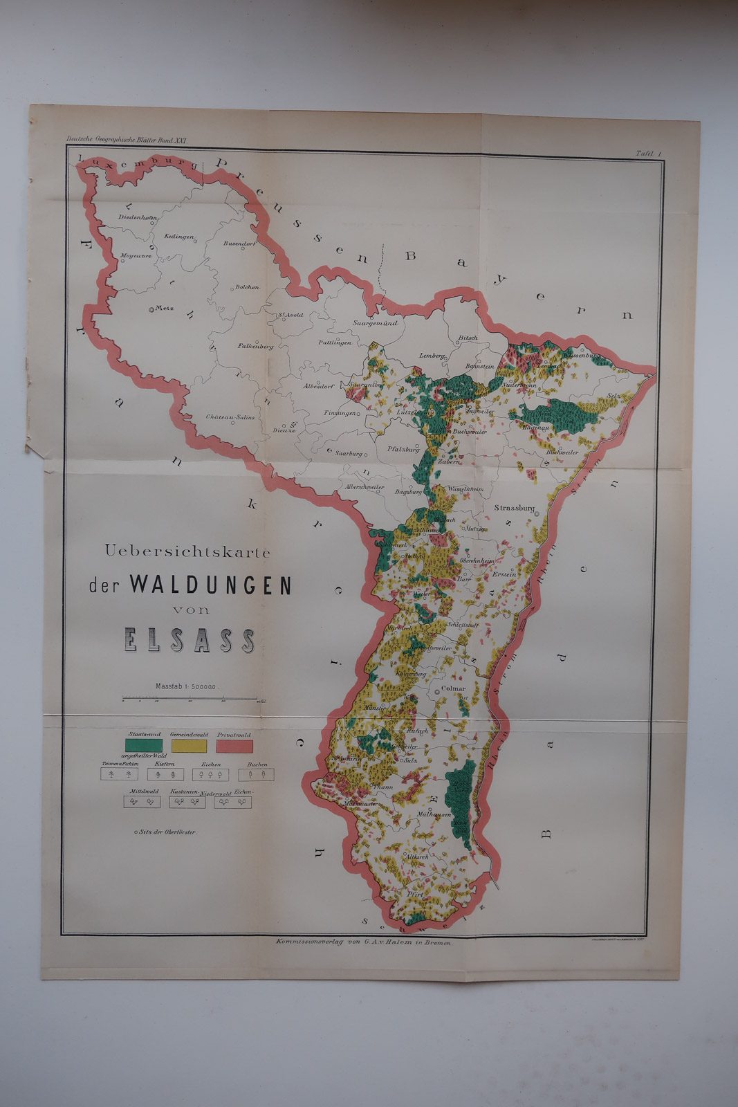 , Antique Map-ALSACE-FORESTS-GERMANY-FRANCE-ELSASS-Geogr. Gesellschaft-1891, Pictura Antique Prints