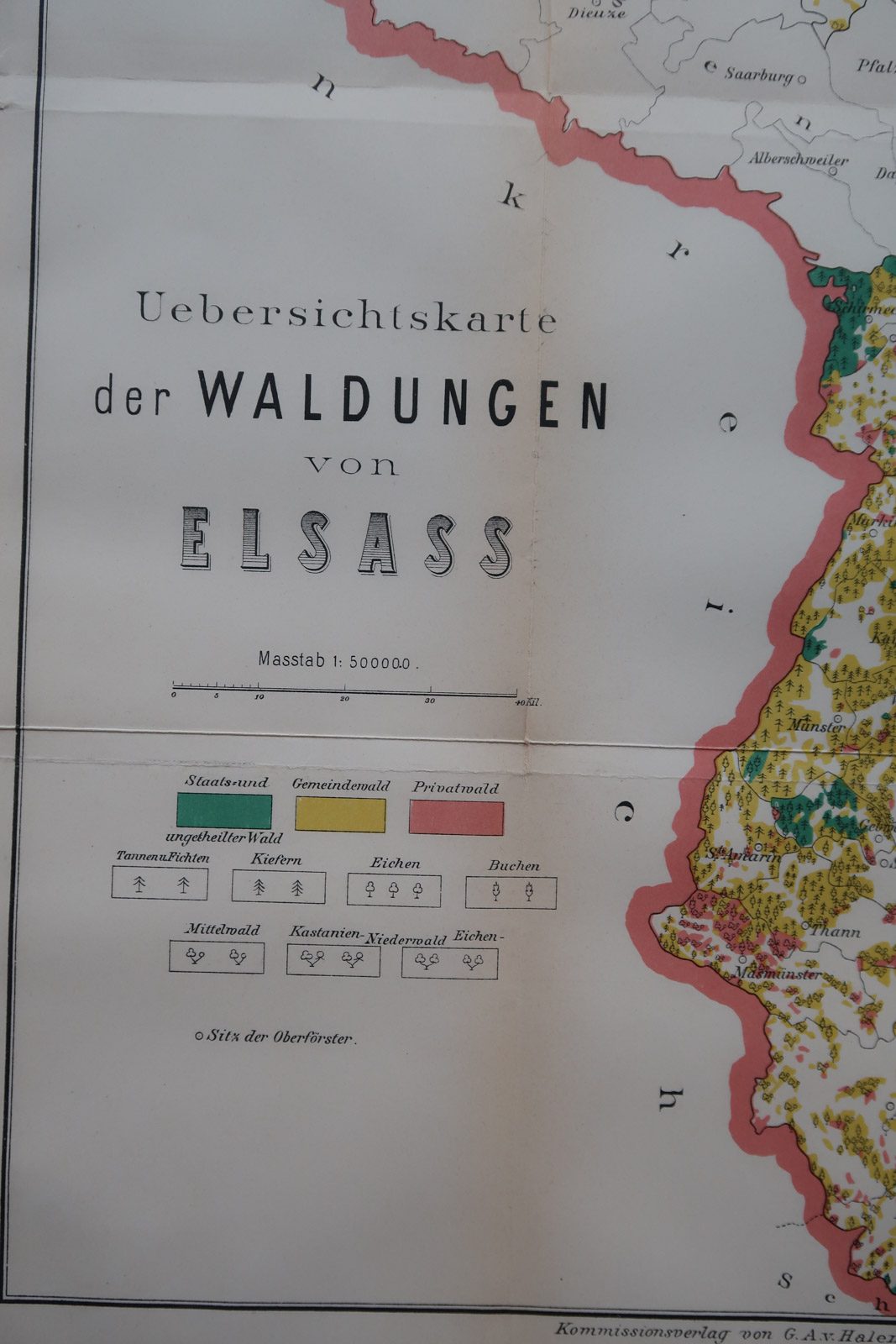 , Antique Map-ALSACE-FORESTS-GERMANY-FRANCE-ELSASS-Geogr. Gesellschaft-1891, Pictura Antique Prints
