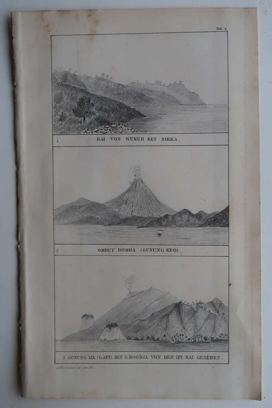 , 8-Antique Prints-FLORES-SUNDA ISLANDS-INDONESIA-VOLCANO-Aardr. Genootschap-1890, Pictura Antique Prints