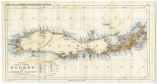 Antique Map-FLORES-SUNDA ISLANDS-INDONESIA-Aardr. Genootschap-1891